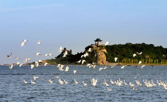 乾港慰問(wèn)一線(xiàn)干警 乾港慰問(wèn)一線(xiàn)干警